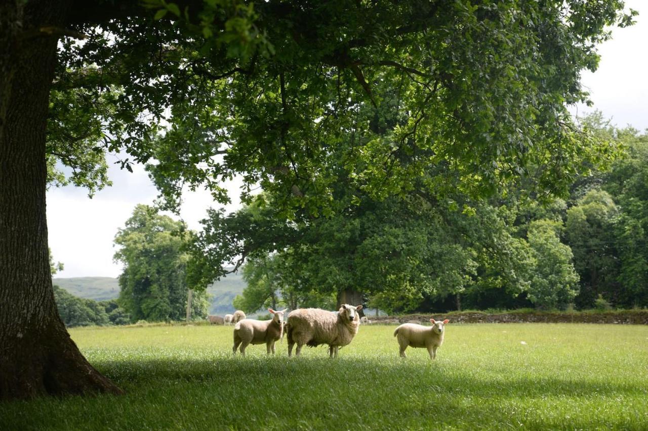 Old Leckie Farmstay Stirling Exteriör bild